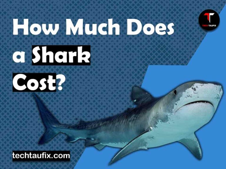 how-much-does-a-shark-cost