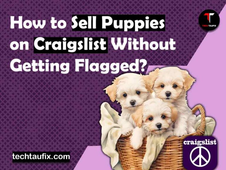 how-to-sell-puppies-on-craigslist-without-getting-flagged