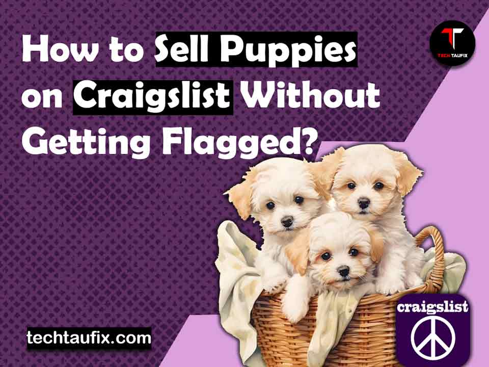 how-to-sell-puppies-on-craigslist-without-getting-flagged